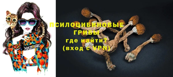 соль курить ск Няндома