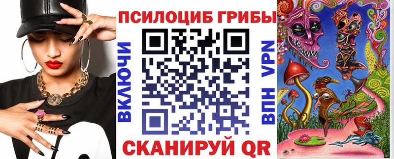 Псилоцибиновые грибы Psilocybe  купить  сайты  Владимир 