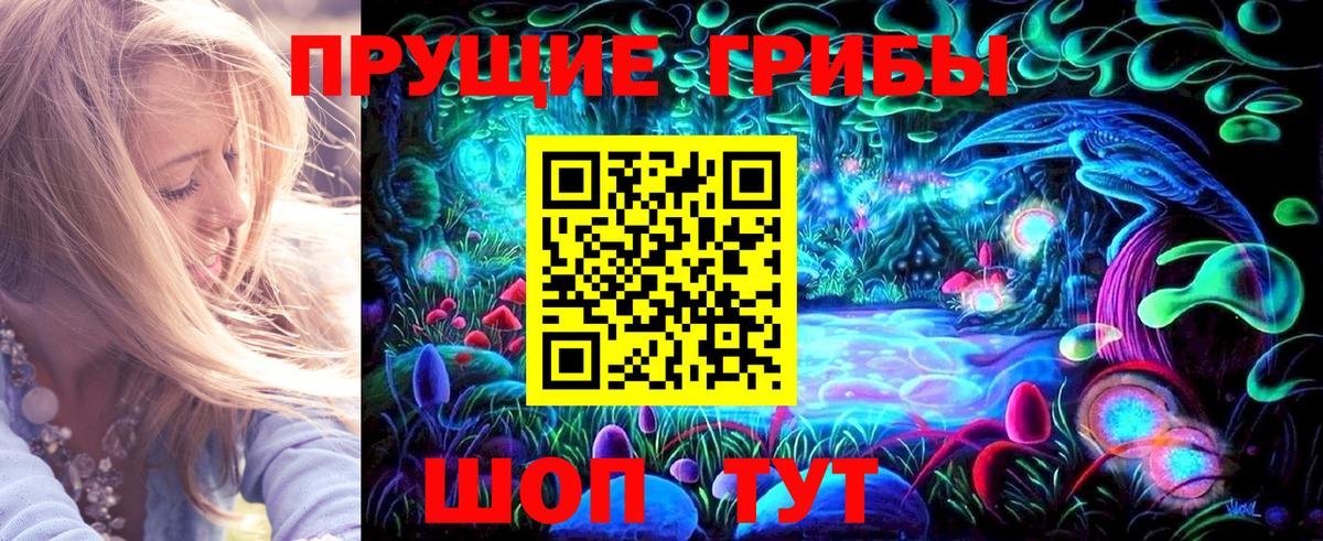 Псилоцибиновые грибы прущие грибы  Вход с VPN  Владимир 
