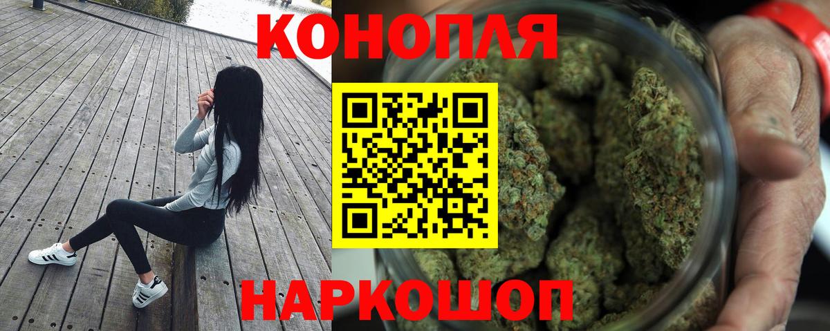 Конопля план Владимир